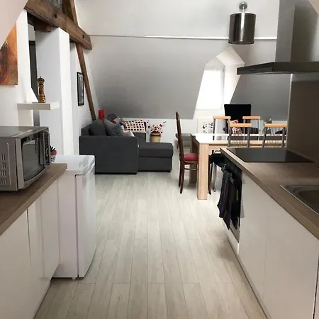Deluxe Design - Center Cosy Apartmán Colmar
