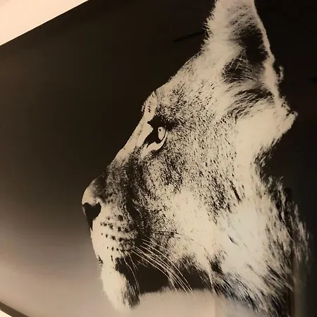 Deluxe Design - Center Cosy