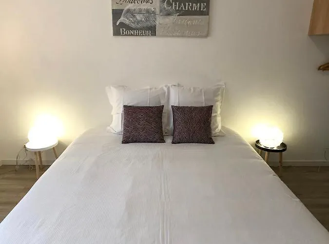 Apartment Deluxe Design - Center Cosy Colmar